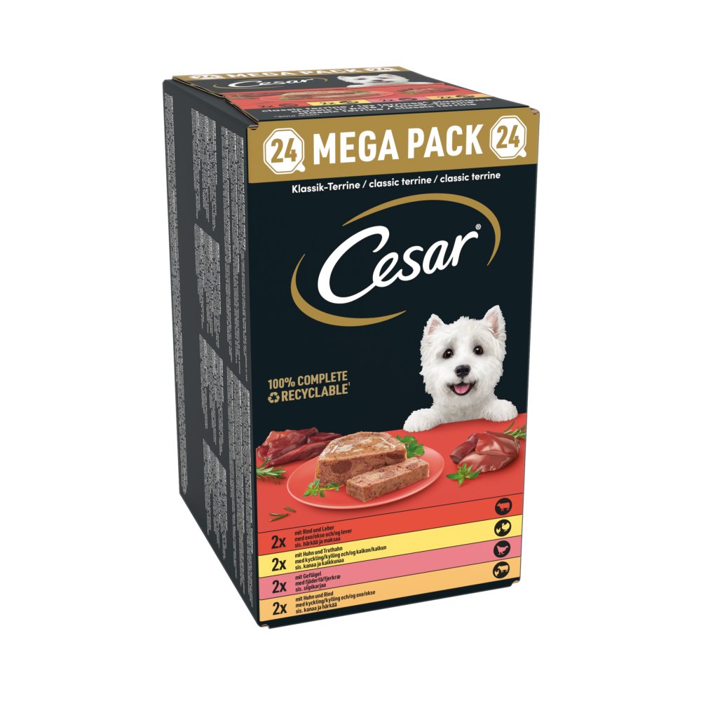 Cesar Adult Classic Terrine Mixed in Loaf Trays 24 x 150g
