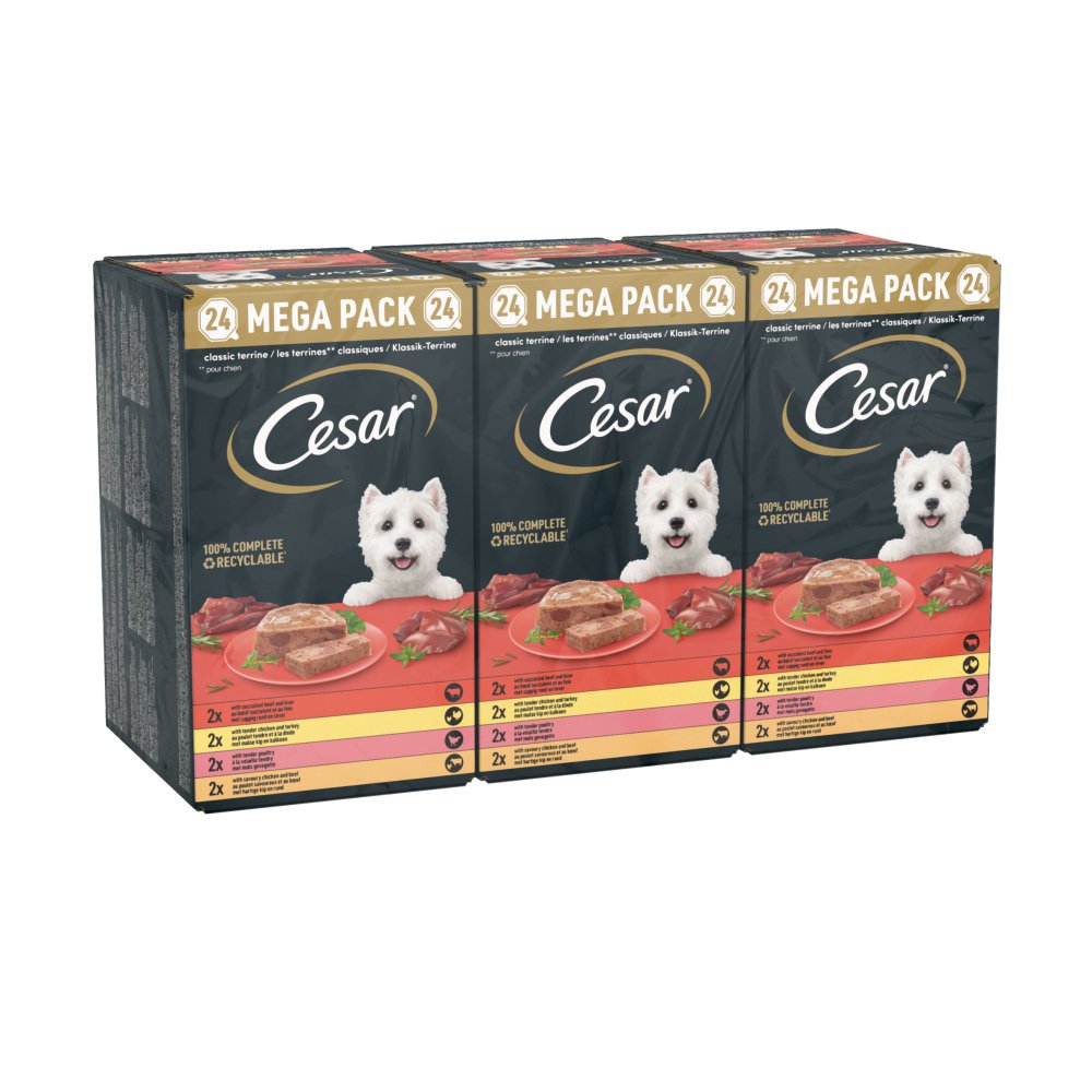 Cesar Adult 24 x 150g Mixed in Loaf Trays - Dog Wet Food